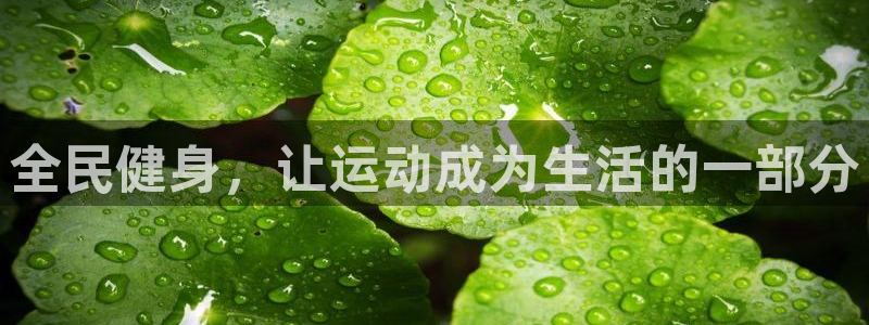 龙8国际游戏最新资讯