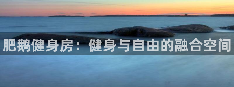 龙八国际服官网入口
