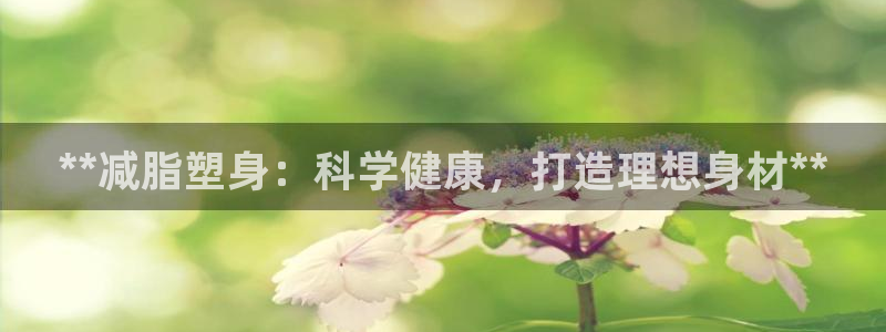 龙8国际服