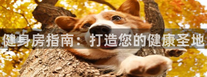 龙8国际黑钱