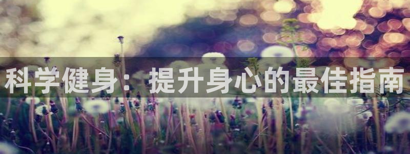 龙8国际登陆