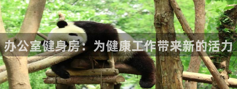龙8国际线上