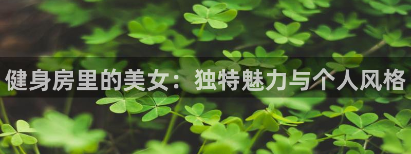 龙8国际pt网址