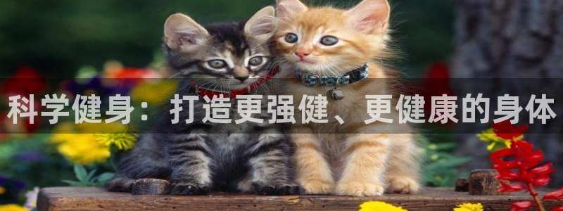 龙8国际.apk