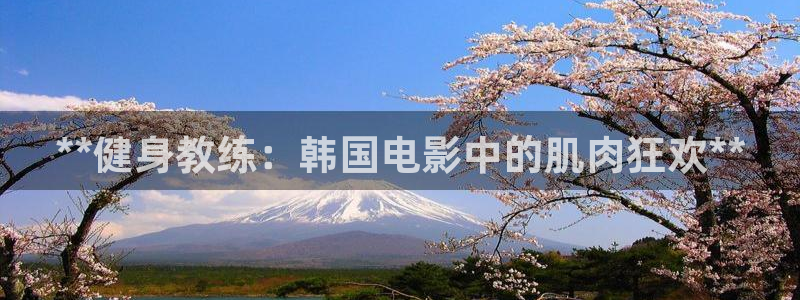 龙8国际pt官方网址