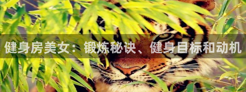龙8国际电子游戏