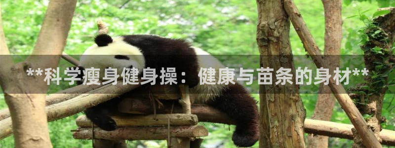 龙8国际登入