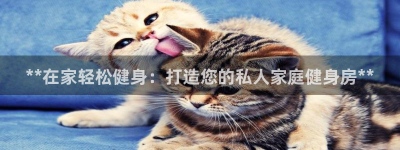 龙8游戏平台官方网站是多少