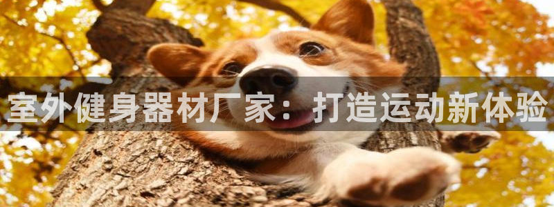龙8国际最新官网