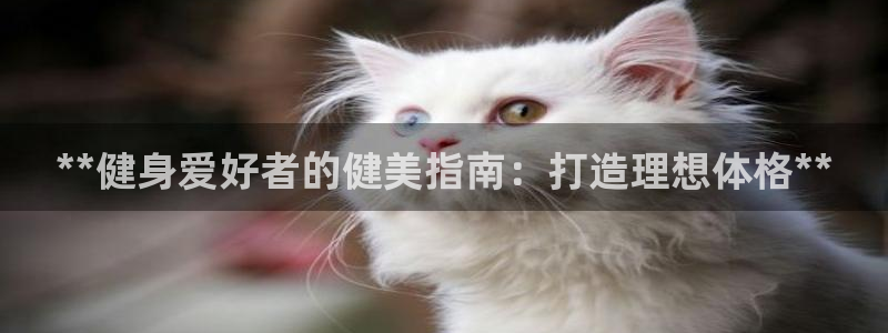 龙8国际备用