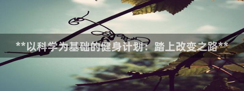 龙8国际手机版下载