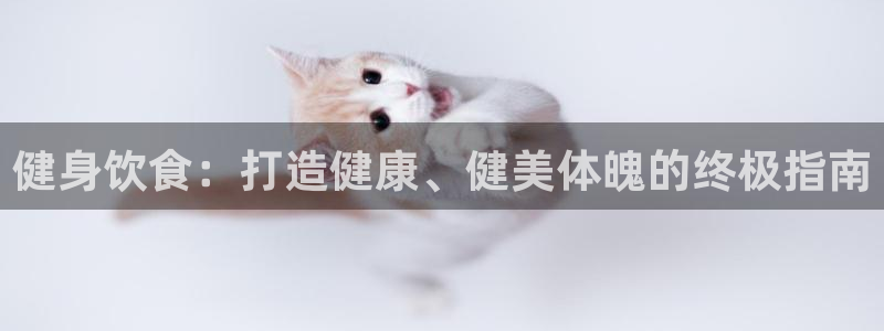 龙8国际服