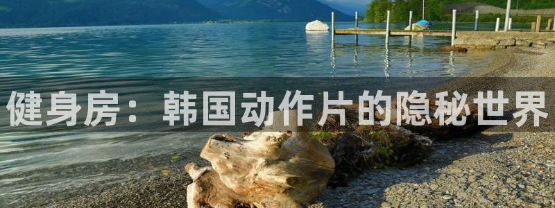 龙8棋牌官网