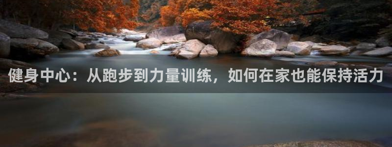 龙 八国际