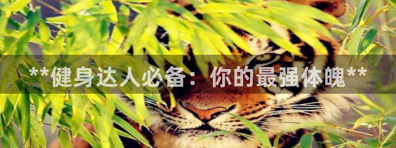 开户送88元体验金网站