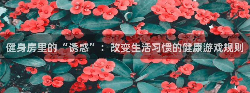 龙8国际官网点此进入游戏