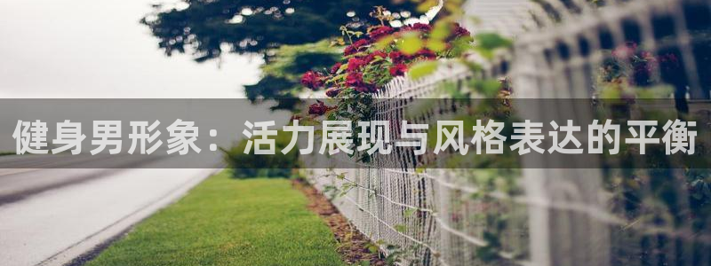 龙 八国际