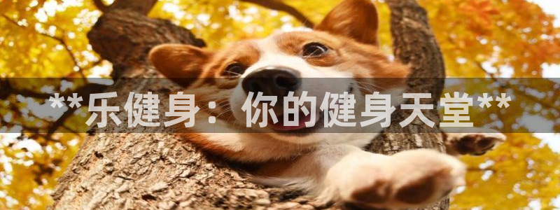 龙8国际正规吗
