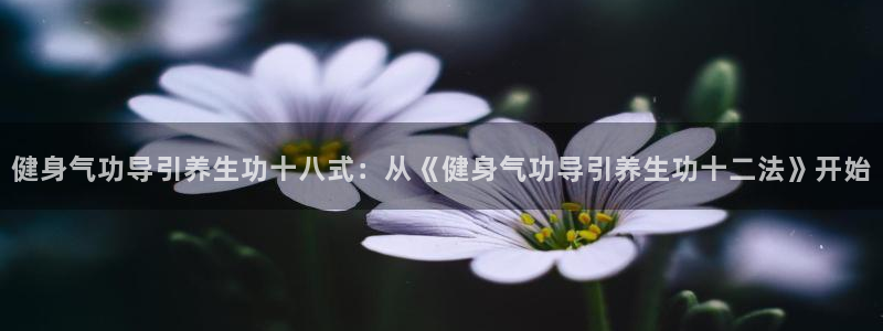 龙8国际的漏洞