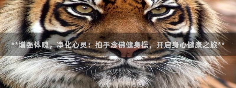 龙8国际网站是多少