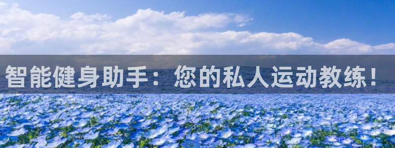 龙八国际网页