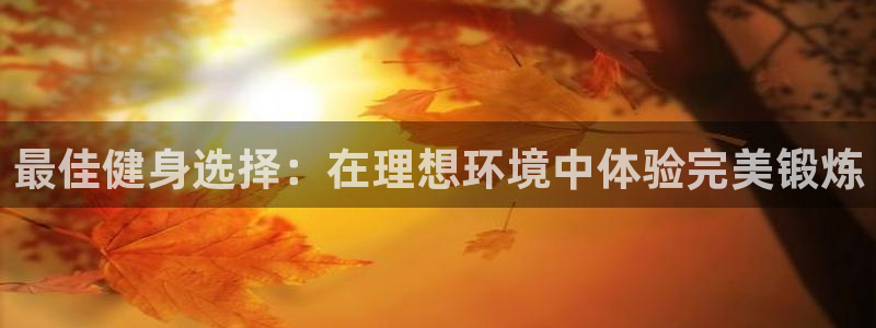 龙8国际手机版官网