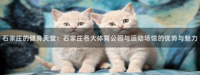 龙八国际娱乐官网下载