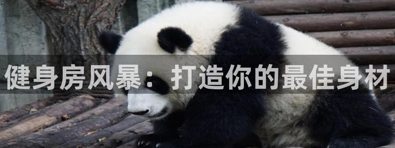 龙八国际官方网