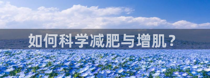 龙8国际平台