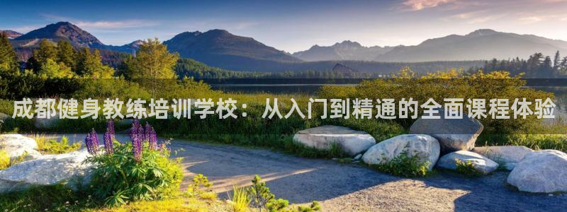 龙8国际的官网