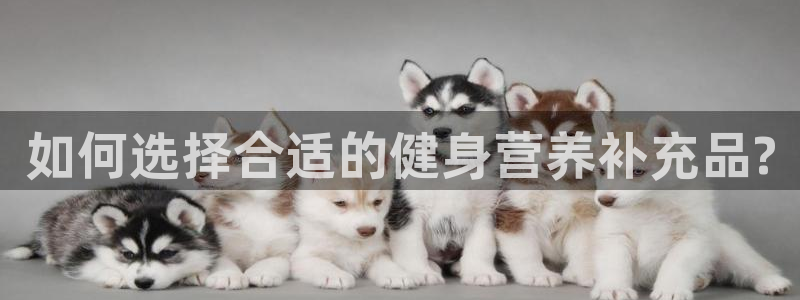 龙8国际客服