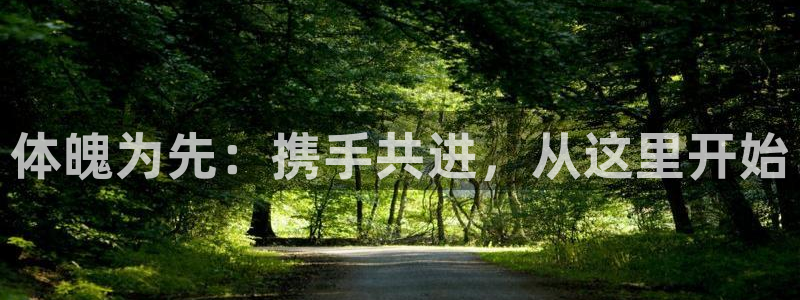 龙八国际官网下载