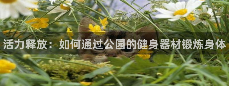 龙8国际官网 点此进入游戏