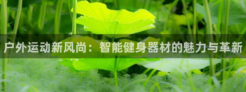 龙8国际app下载手机版