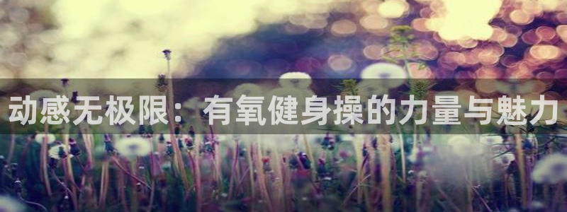 龙8国际官网多少