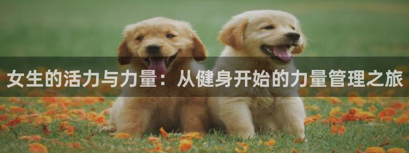 龙8国际手机网页版