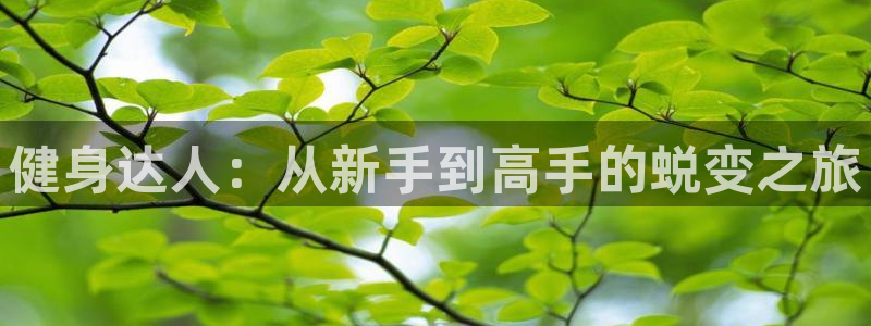 龙8电子游艺网址多少