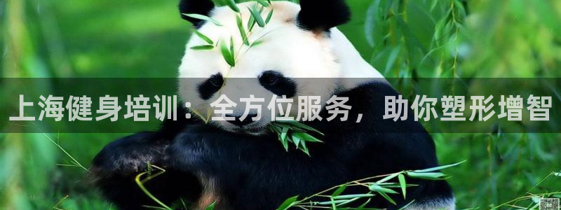 龙8游戏官方网站p