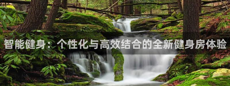 龙8国际手机游戏官网版