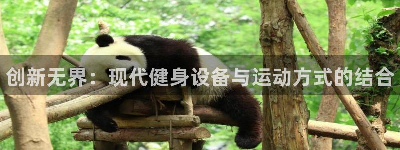 龙8游戏平台的网站