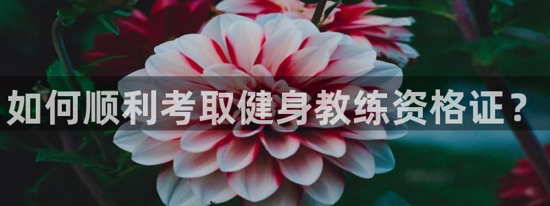 龙8国际官方网址下载