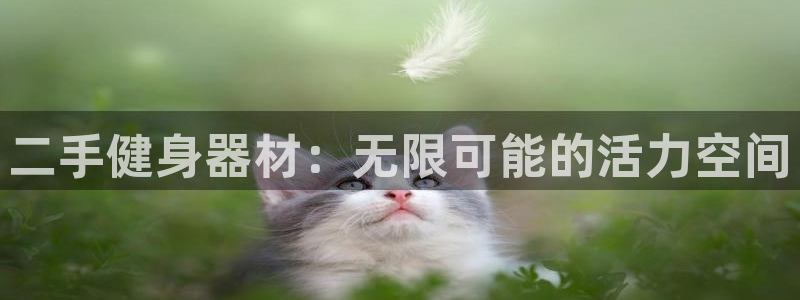 龙8国际网址是什么