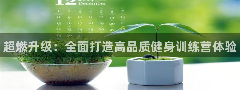 龙8游戏平台的网站