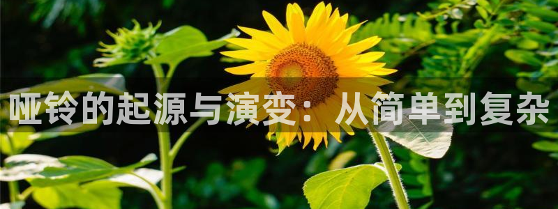 龙8游戏平台官方网站是多少