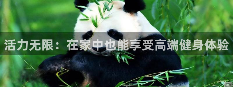 龙8电子游艺网址多少