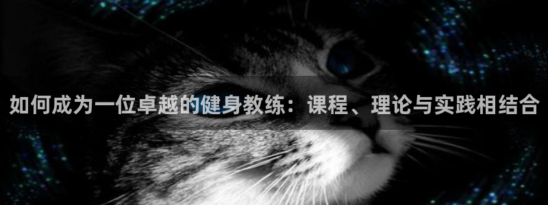 龙8国际龙8官方