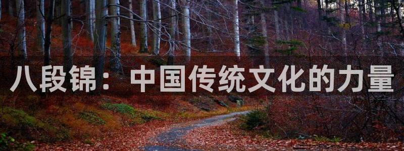 龙8国际平台提款被黑