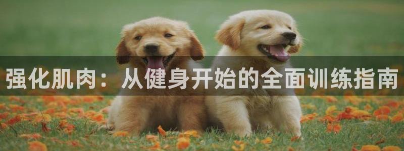 龙8国际官网 - 点此进入