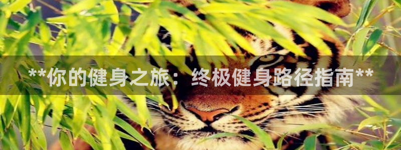 龙8国际免费试玩