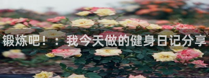 龙8国际app客户端下载